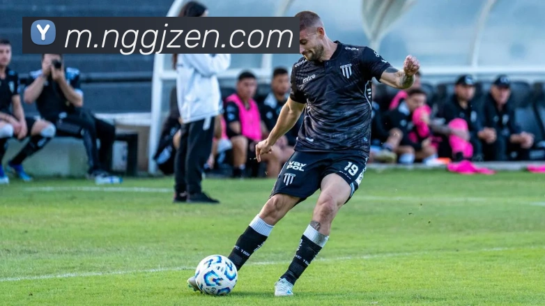 南宫国际平台生态图