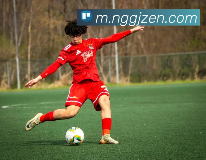 南宫国际全站App